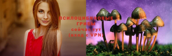 экстази Медногорск