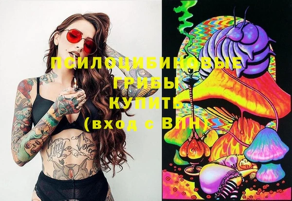 марки nbome Медвежьегорск
