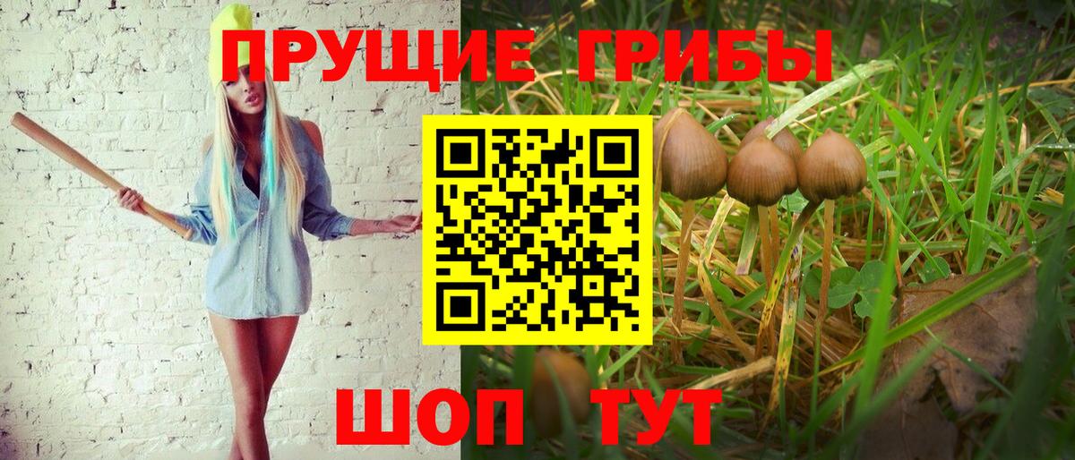 Галлюциногенные грибы мицелий  Вход с VPN  Муравленко  Галлюциногенные грибы Cubensis 