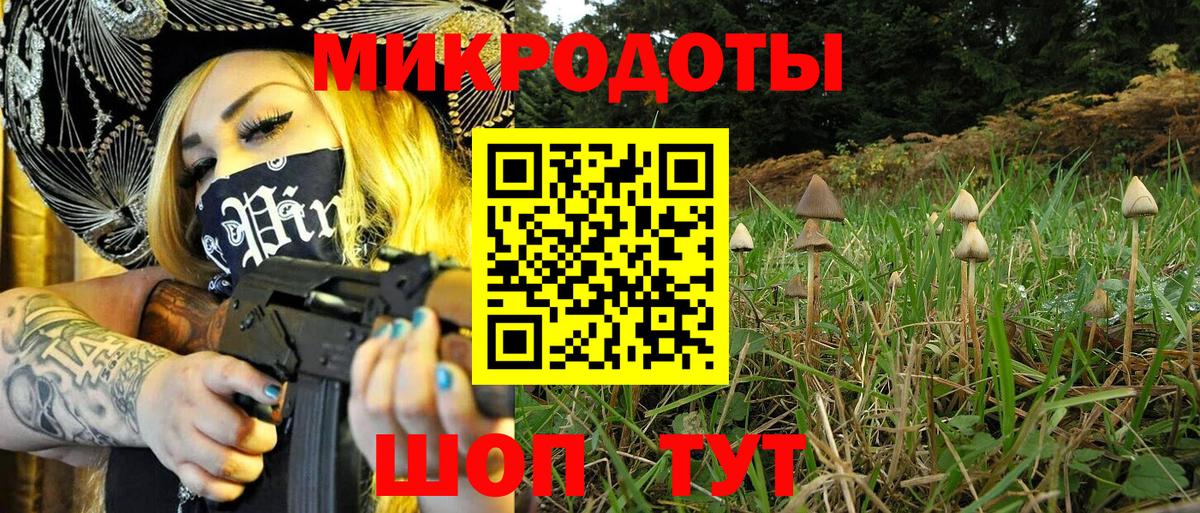 Псилоцибиновые грибы Psilocybine cubensis Муравленко