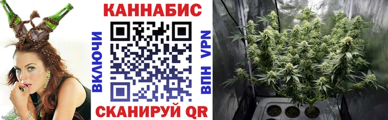где найти   Муравленко  Шишки марихуана индика 